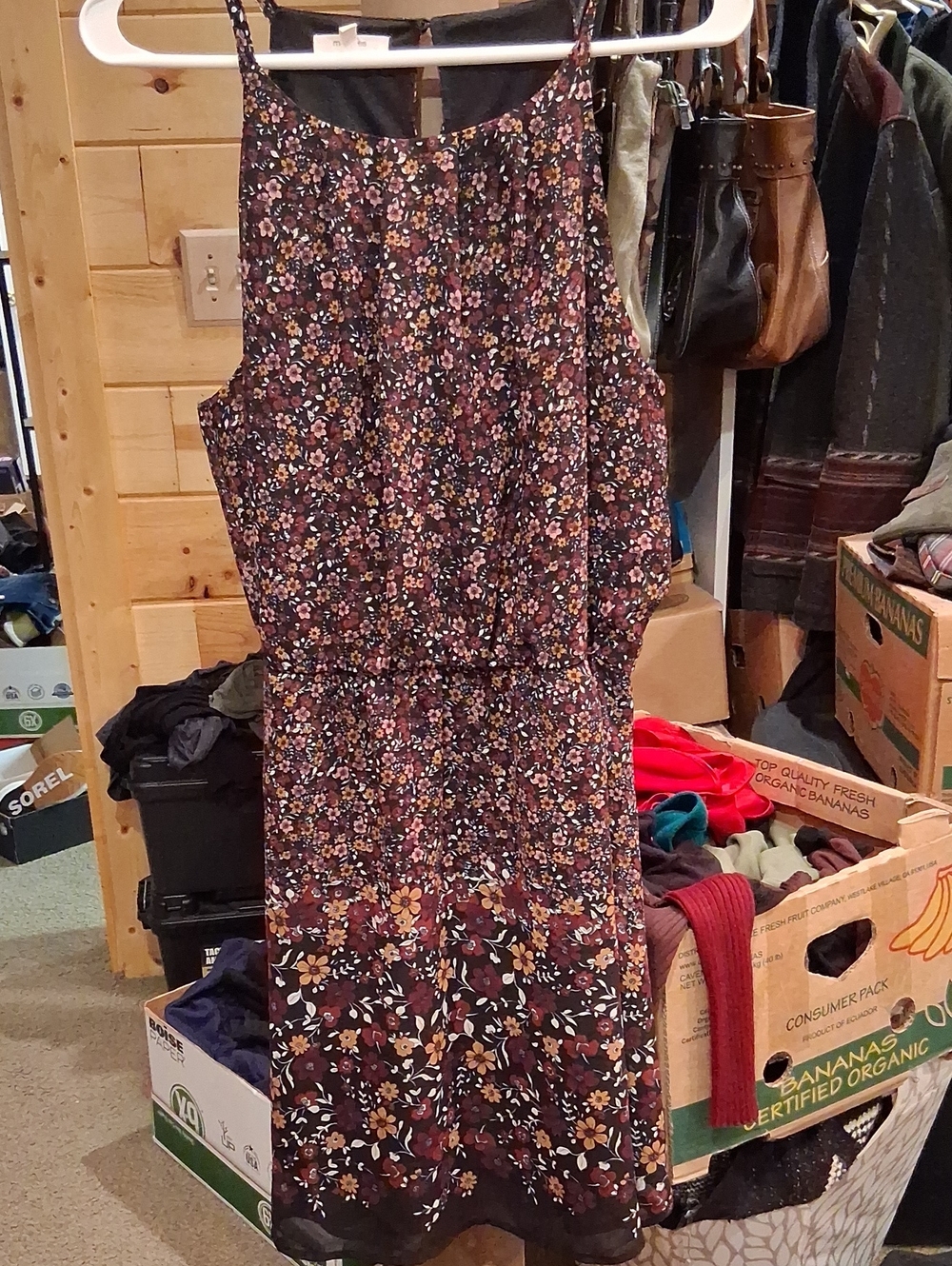 Maurices Floral Mini Dress in Black with Burgundy and Mustard